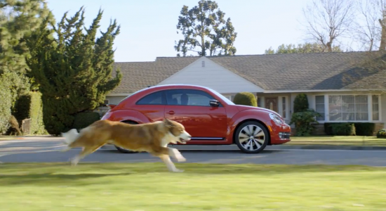 The Dog Strikes Back - VW