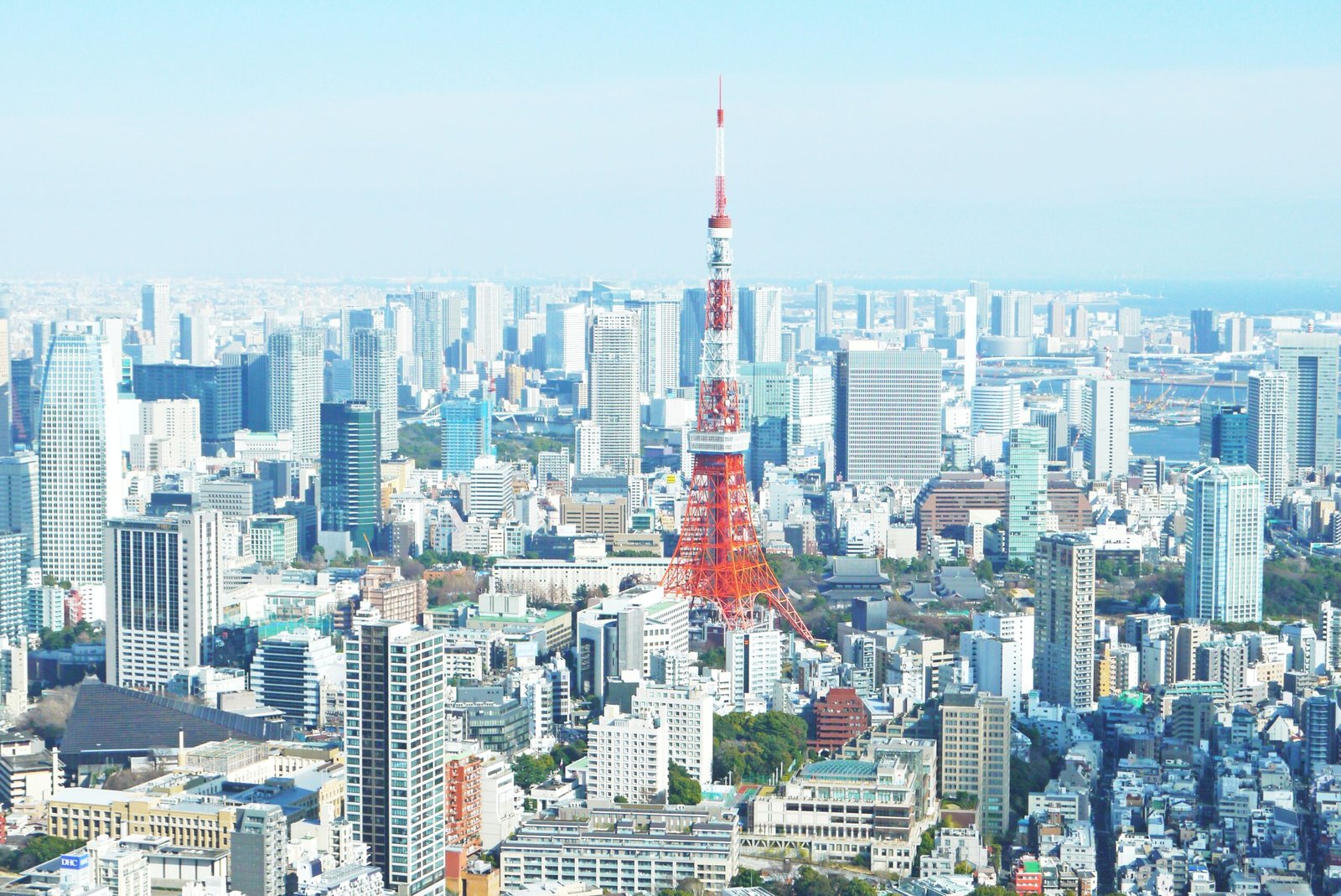 Japón 101: guía para planificar tu primer viaje
