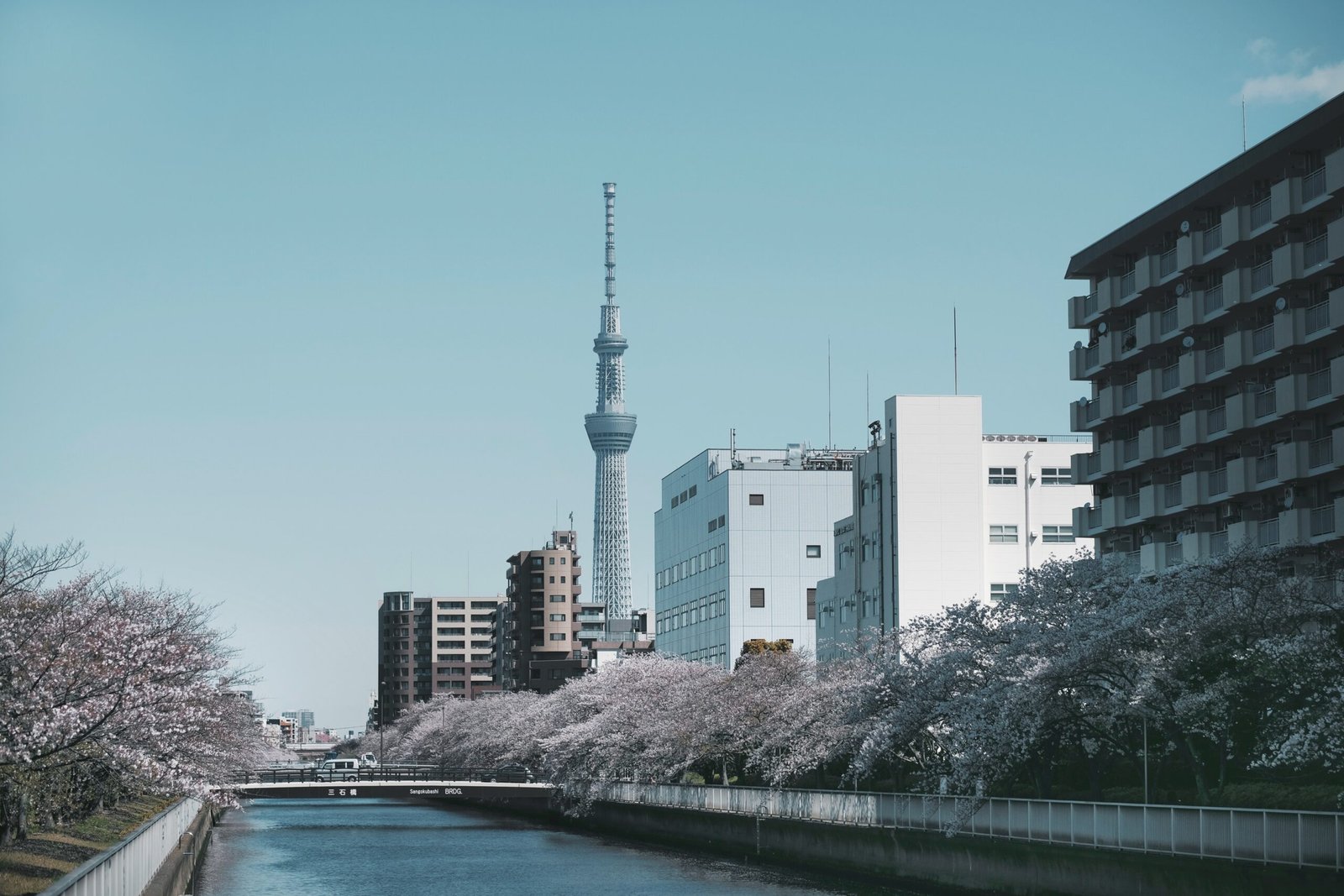 Japón: 10 lugares de Tokio para conocer en un primer viaje