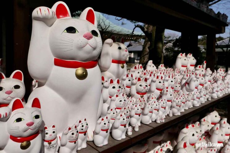 templo manekineko
