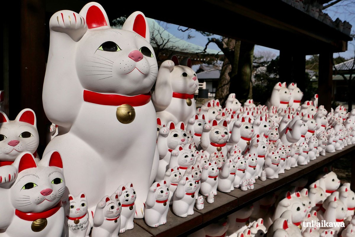El templo Gotokuji en Tokio: el santuario de los gatos de la fortuna (maneki-neko)