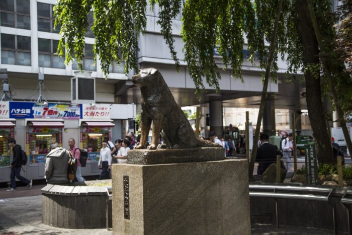 estatua de hachiko en tokio