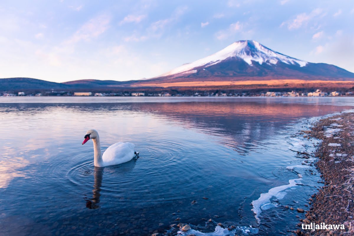 Lago Yamanaka: la joya natural de Japón en el corazón de Yamanashi