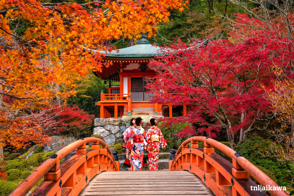 Daigo-ji: un viaje espiritual y cultural al corazón del budismo Shingon en Kyoto