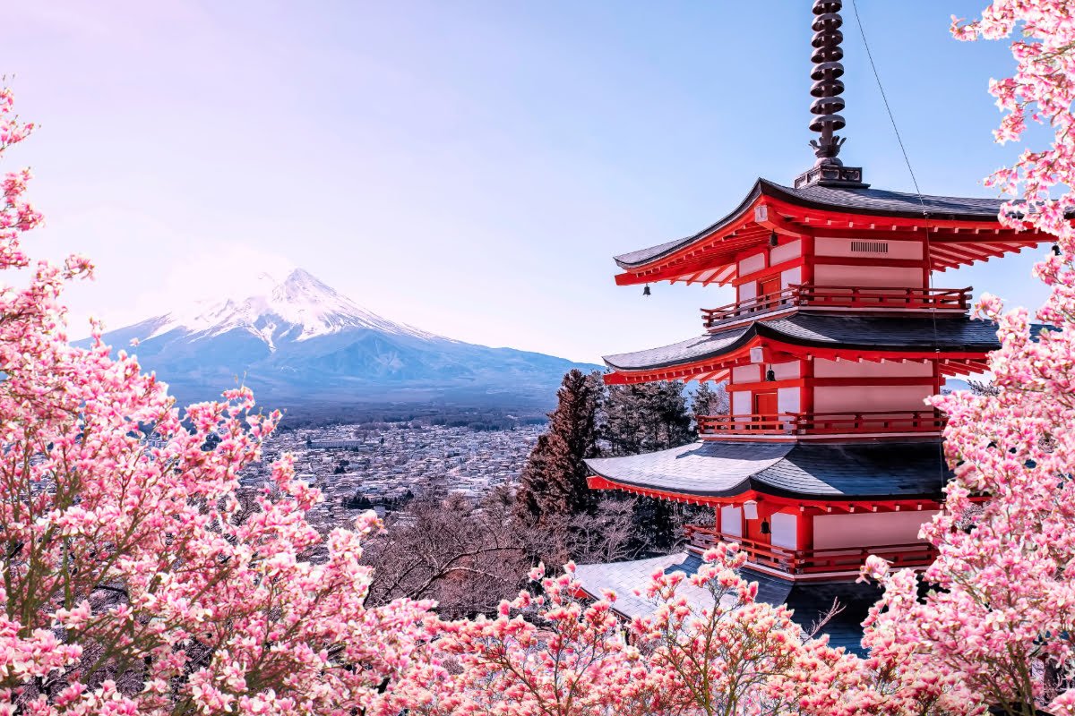 La importancia de la flor del cerezo (sakura) en la cultura japonesa