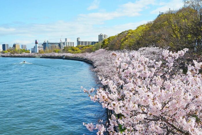 Parque Kema Sakuranomiya de osaka