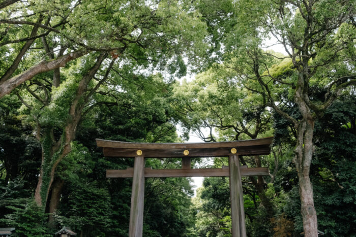 parque Yoyogi en tokio