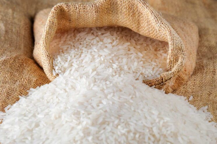arroz